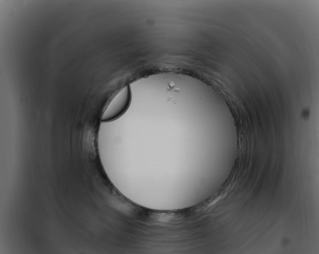 X0000102490575200808081059