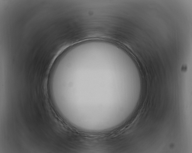 X0000102490579200808081058
