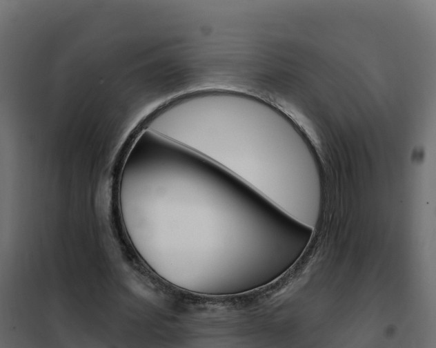 X0000102490580200808081058
