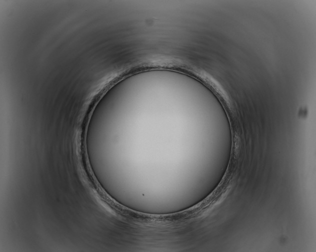 X0000102490581200808081058