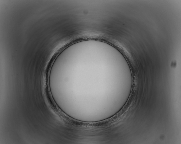 X0000102490582200808081058