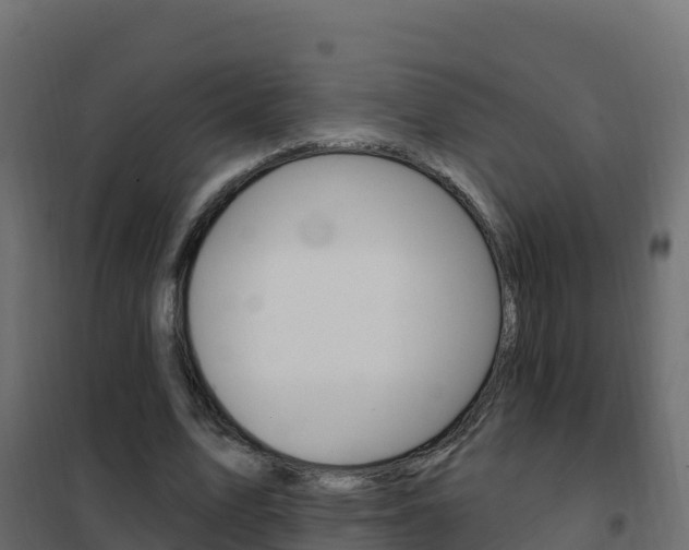 X0000102490583200808081058