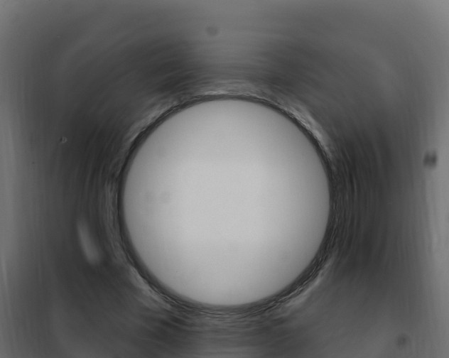 X0000102490585200808081058
