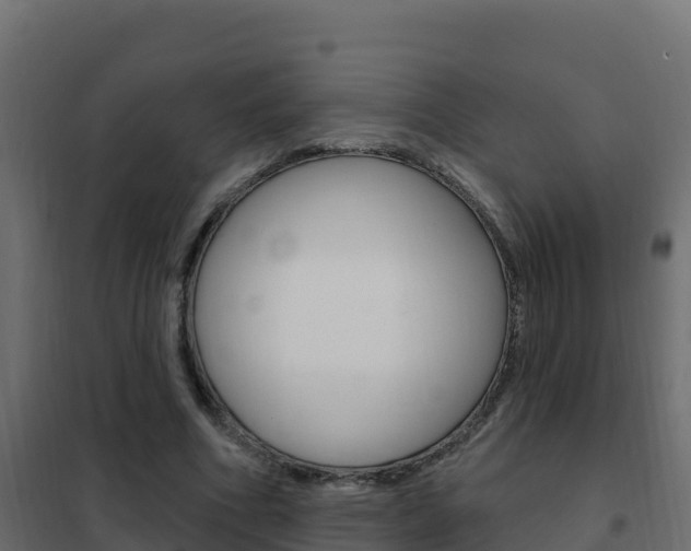 X0000102490586200808081058