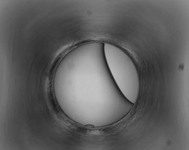 X0000102490587200808081058