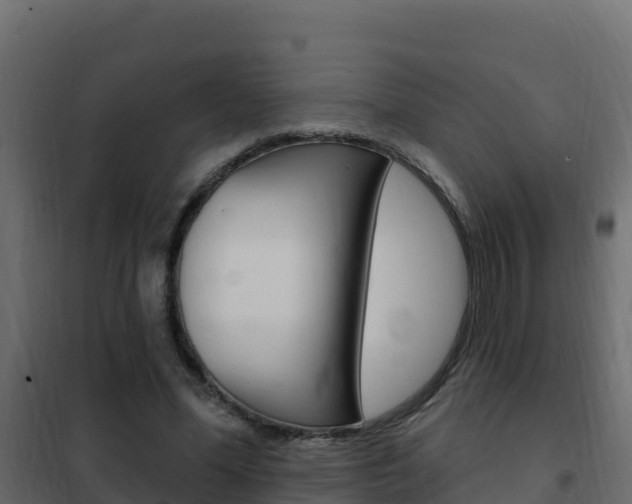 X0000102490588200808081058
