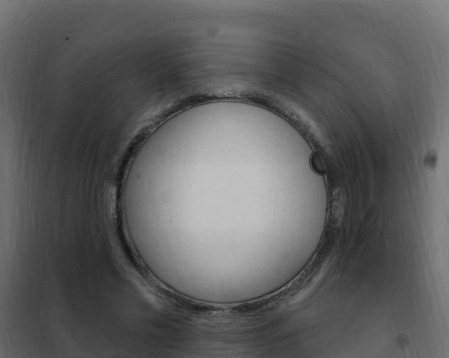 X0000102490589200808081058