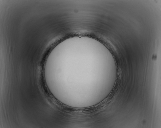 X0000102490591200808081058