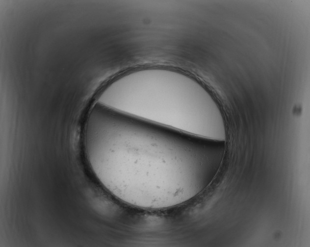 X0000102490592200808081058