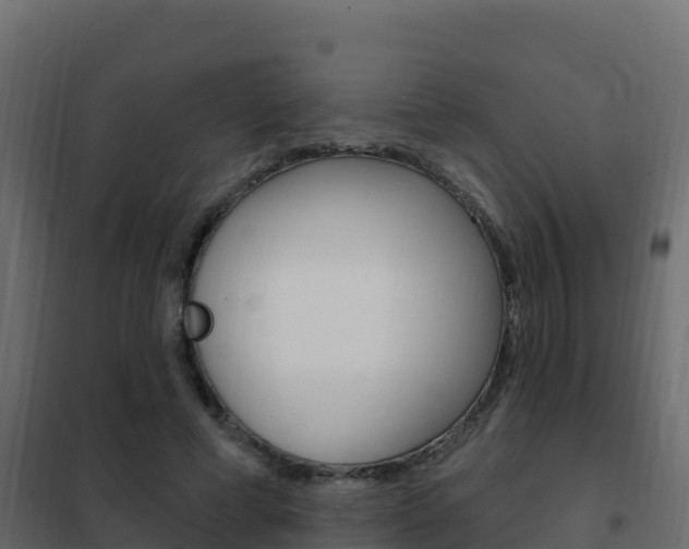 X0000102490593200808081058