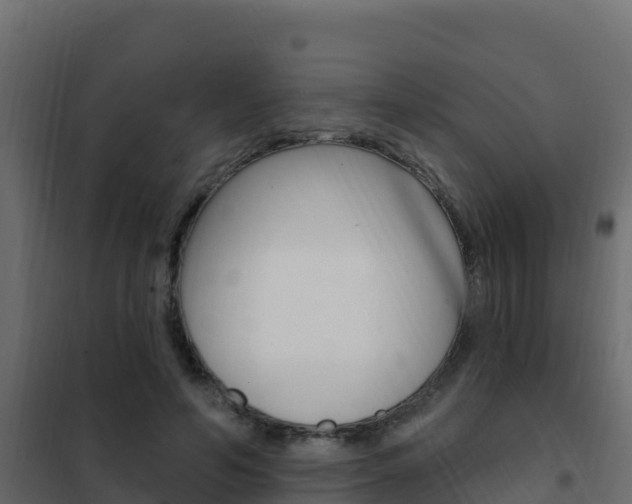 X0000102490594200808081058