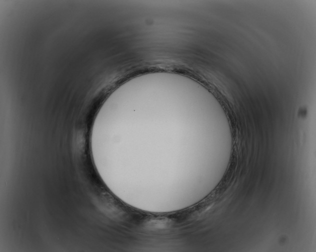 X0000102490595200808081058