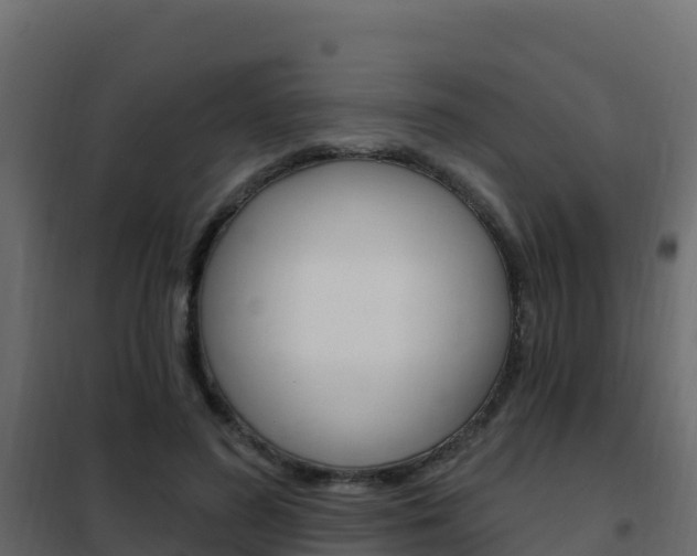 X0000102490596200808081058