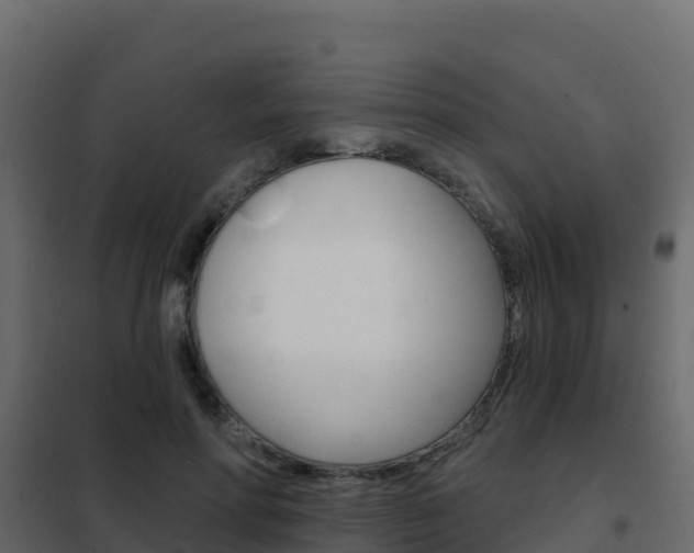 X0000102490598200808081058