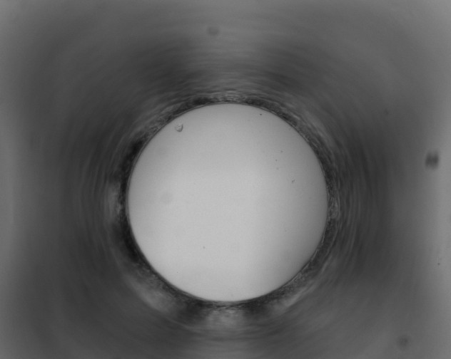 X0000102490599200808081058