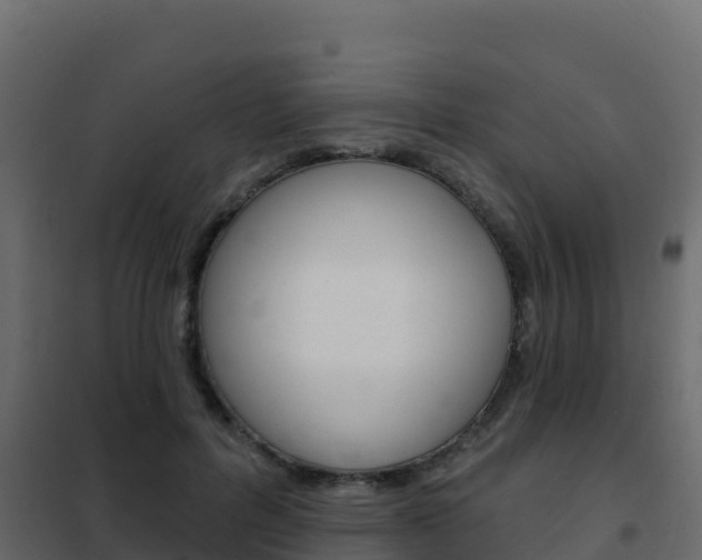 X0000102490600200808081058