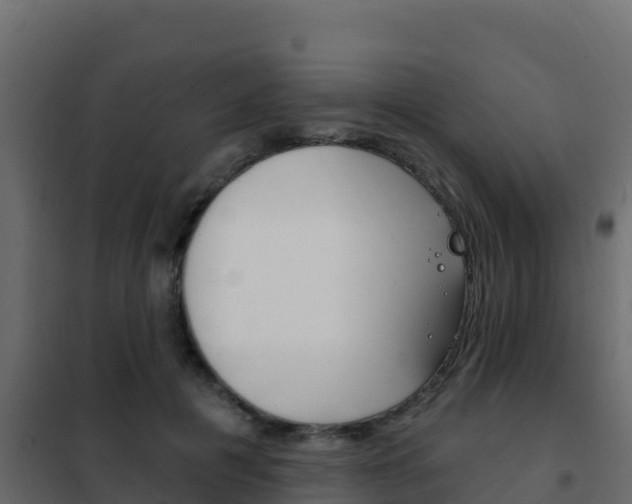 X0000102490601200808081058