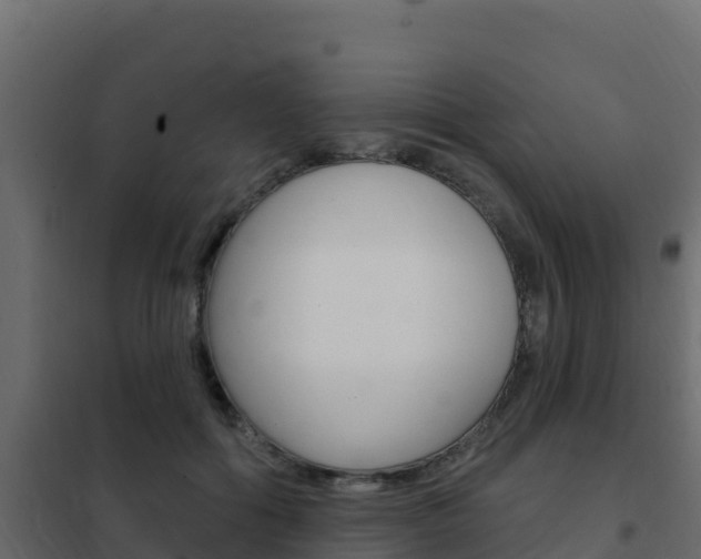 X0000102490602200808081058