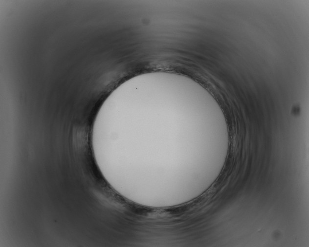 X0000102490603200808081058