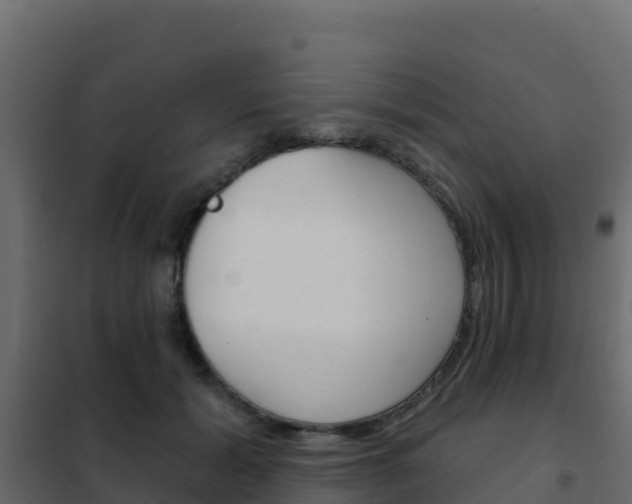 X0000102490605200808081058