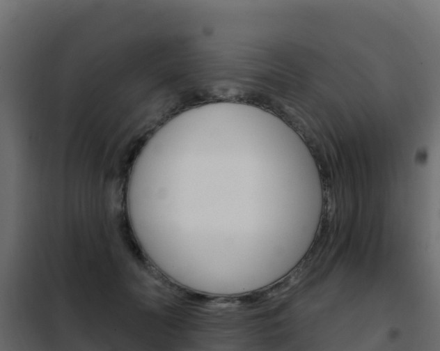 X0000102490606200808081058