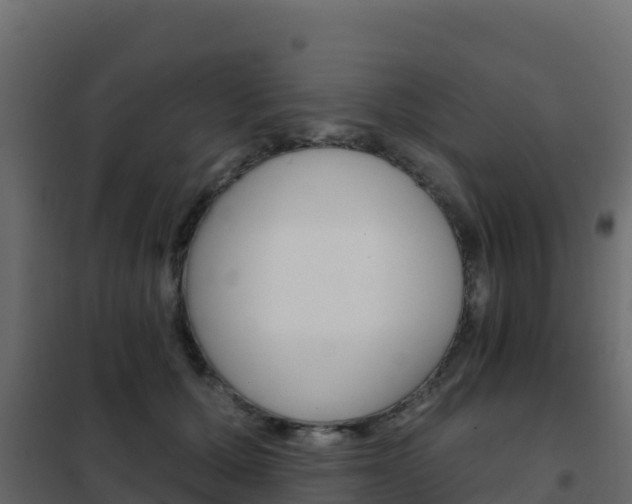 X0000102490607200808081058