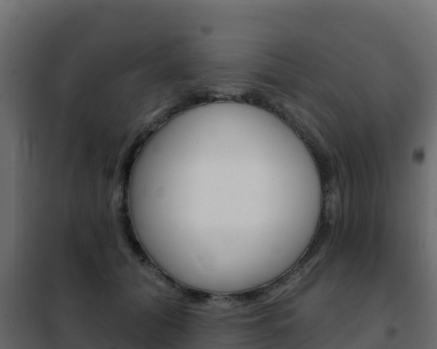 X0000102490608200808081058