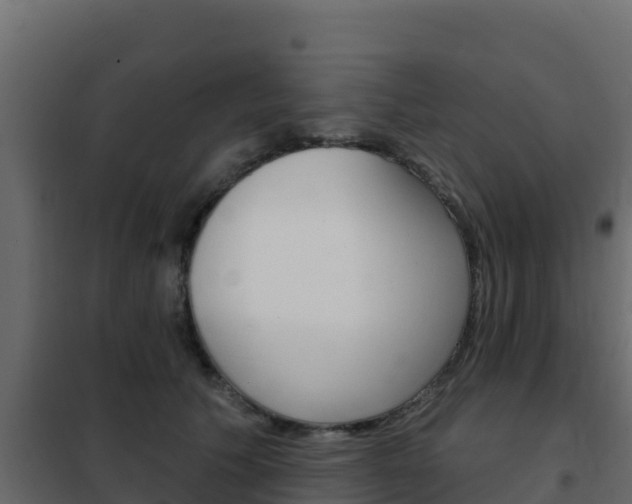 X0000102490609200808081058