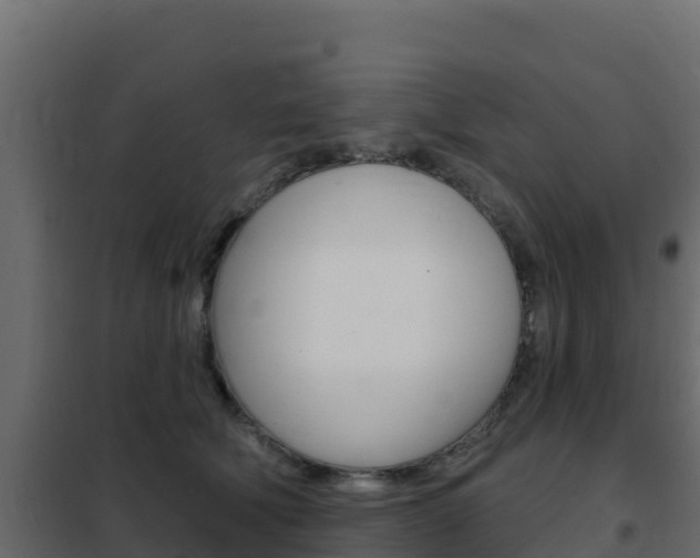 X0000102490610200808081058