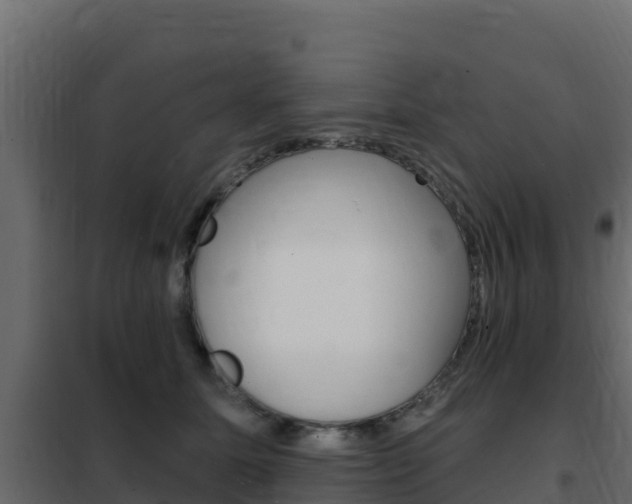X0000102490611200808081058