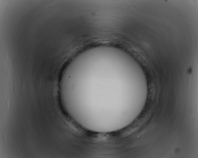 X0000102490612200808081058