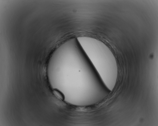 X0000102490613200808081058