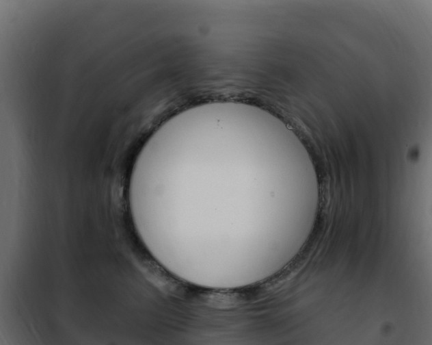 X0000102490615200808081058