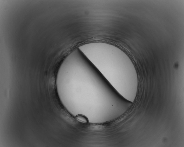 X0000102490617200808081058