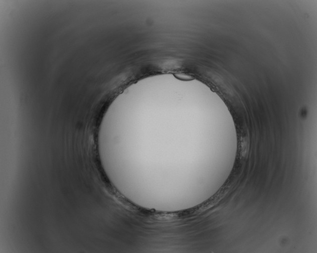 X0000102490618200808081057
