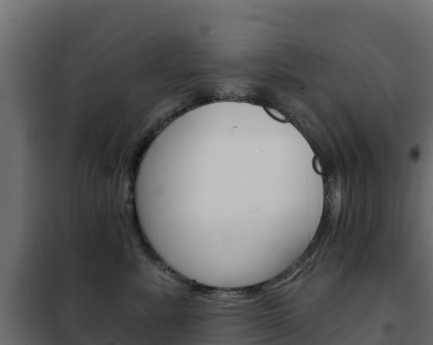 X0000102490619200808081057