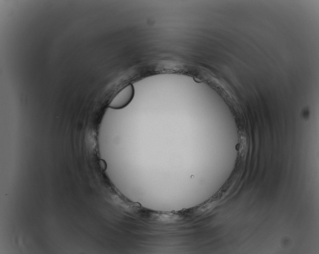 X0000102490621200808081057