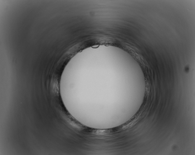 X0000102490622200808081057