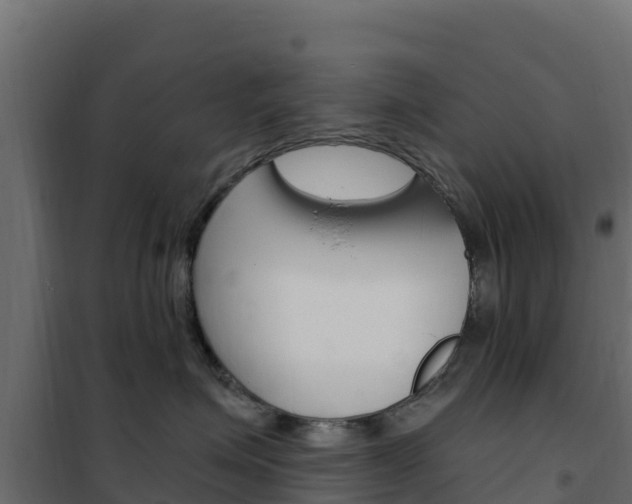 X0000102490623200808081057