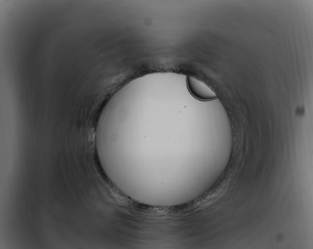 X0000102490624200808081057