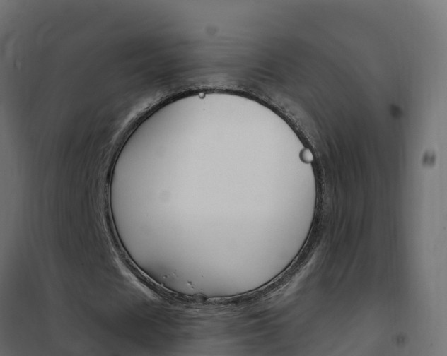X0000102490625200808081057