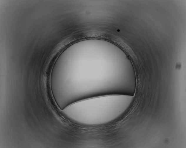 X0000102490626200808081057