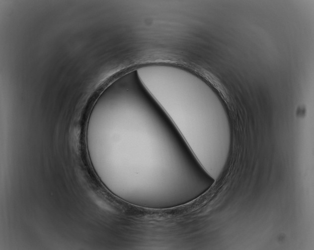 X0000102490627200808081057