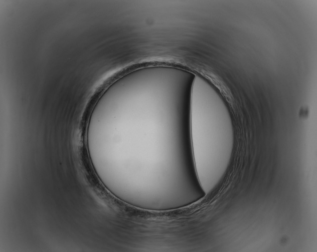 X0000102490628200808081057