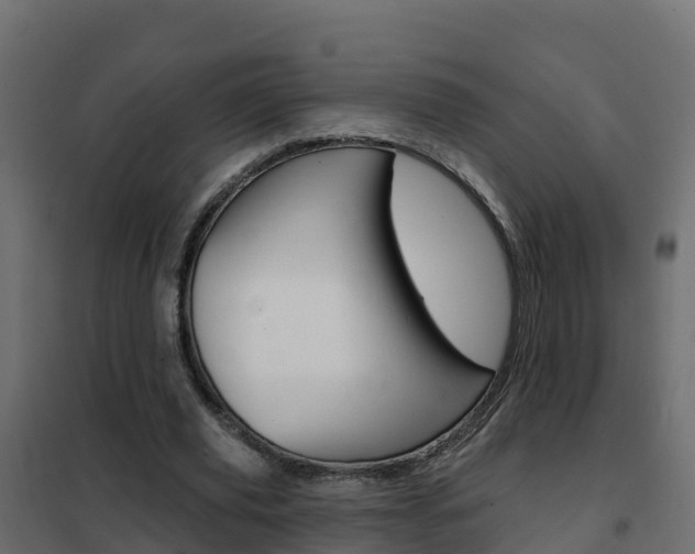 X0000102490629200808081057