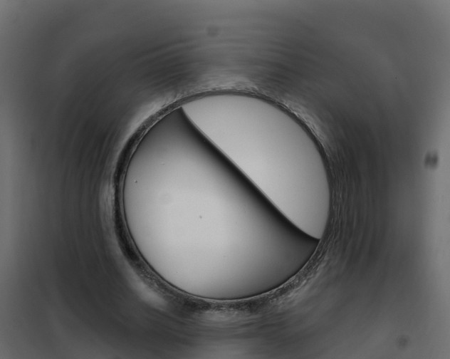 X0000102490630200808081057