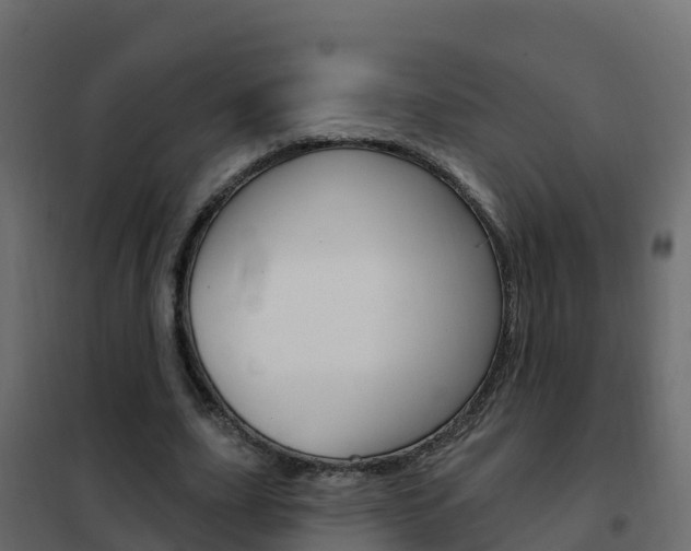 X0000102490631200808081057