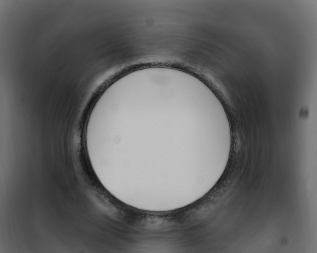 X0000102490632200808081057