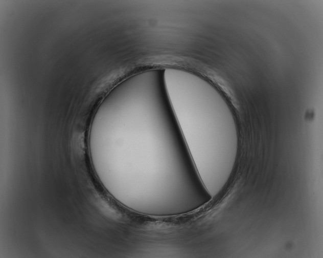 X0000102490633200808081057