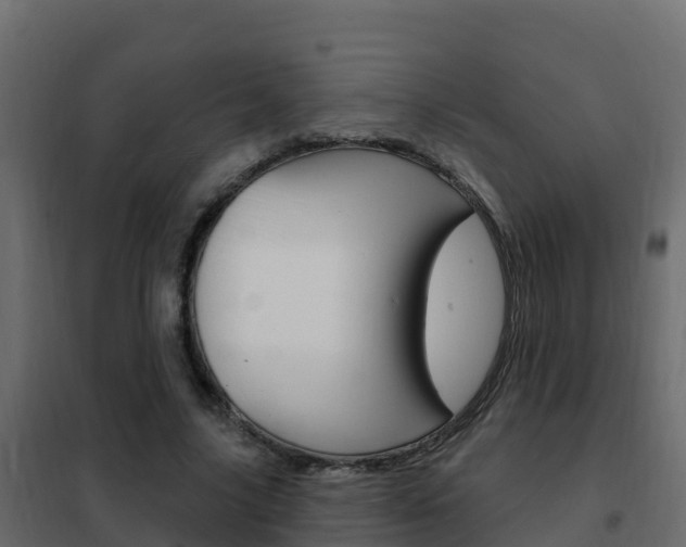 X0000102490635200808081057